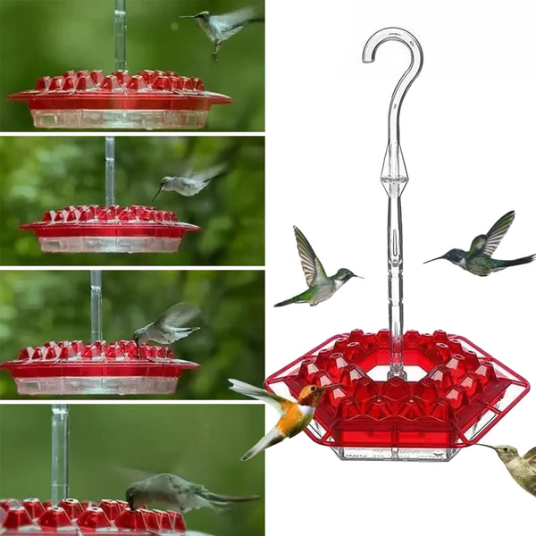 Luxora Ant-Proof Hummingbird Feeder with 30 Bee-Resistant Ports