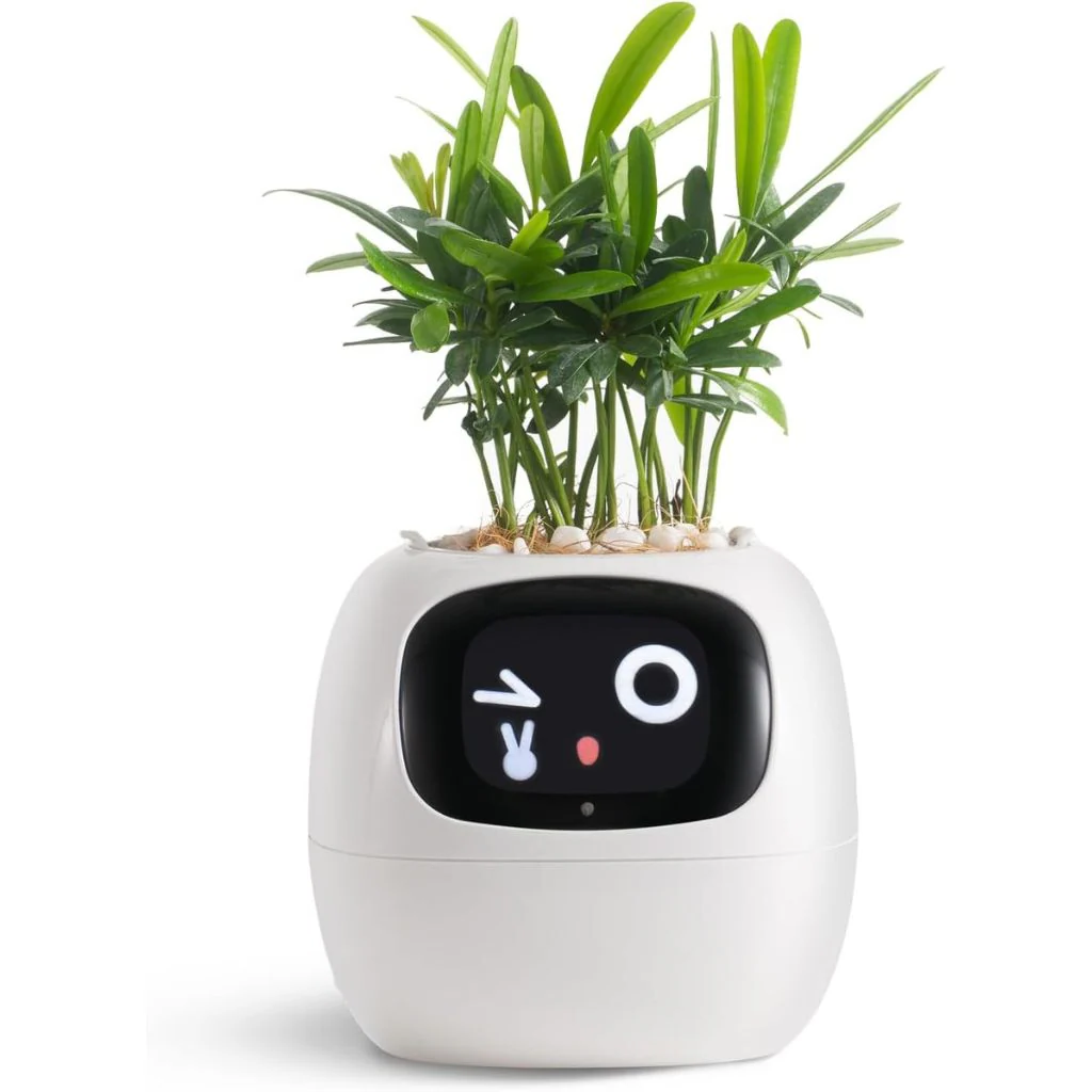 Royaleva Smart Plant Pot Ivy - Innovative Plant Care