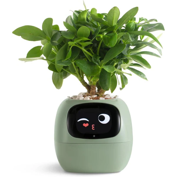 Royaleva Smart Plant Pot Ivy - Innovative Plant Care