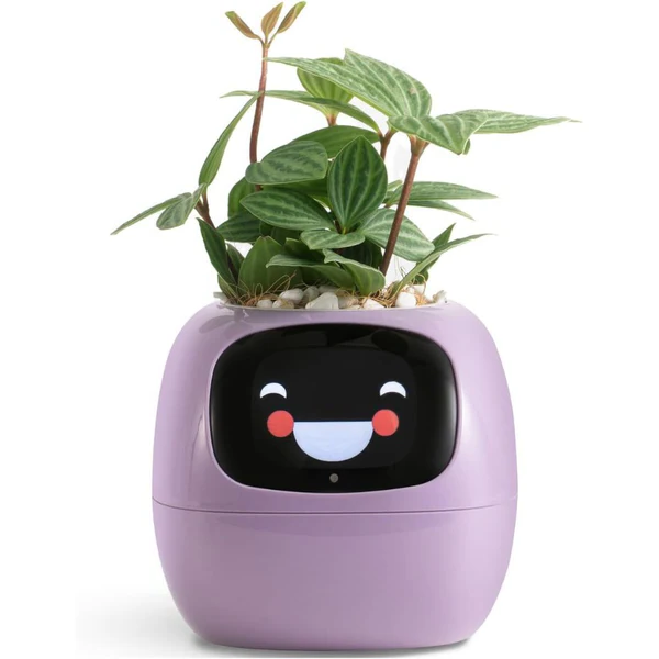 Royaleva Smart Plant Pot Ivy - Innovative Plant Care