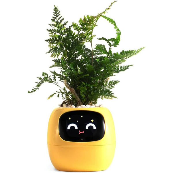 Royaleva Smart Plant Pot Ivy - Innovative Plant Care