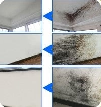 LuxRoyale Transparent Waterproof Coating Agent 300g