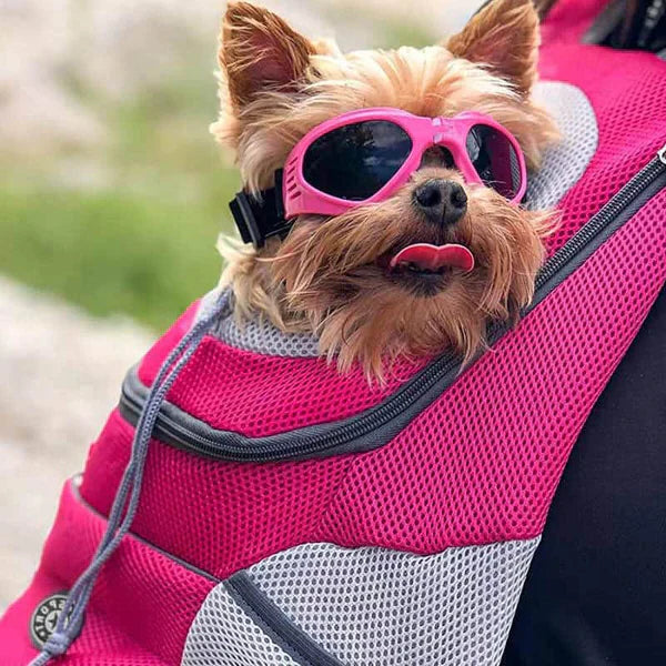 Luxora Fur Sport Backpack for Pets - Adjustable & Safe