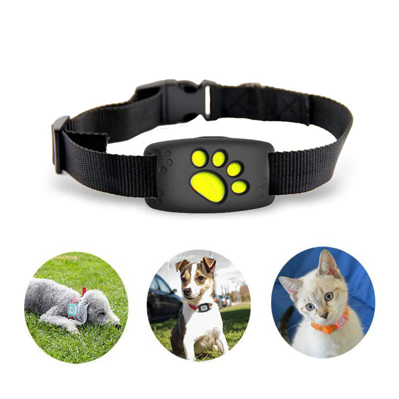 Luxora Smart GPS Cat Collar with Real-Time Tracking