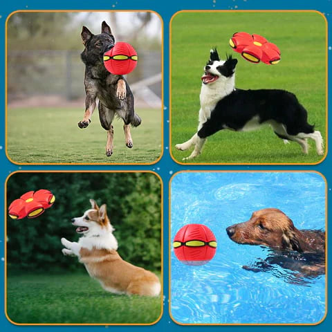 Luxora Flying Saucer Ball Dog Toy with Flashing Light