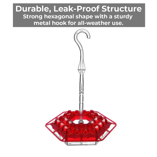 Luxora Ant-Proof Hummingbird Feeder with 30 Bee-Resistant Ports
