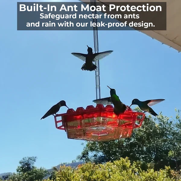 Luxora Ant-Proof Hummingbird Feeder with 30 Bee-Resistant Ports