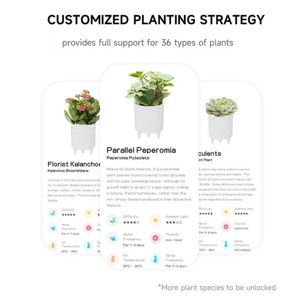 Royaleva Smart Plant Pot Ivy - Innovative Plant Care