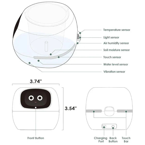 Royaleva Smart Plant Pot Ivy - Innovative Plant Care