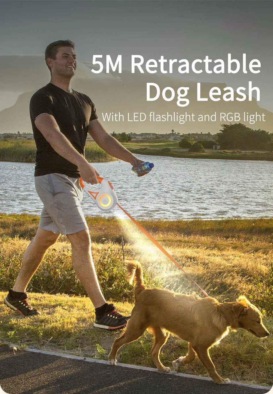 Luxora Retractable Dog Leash with LED Light and Comfort Grip
