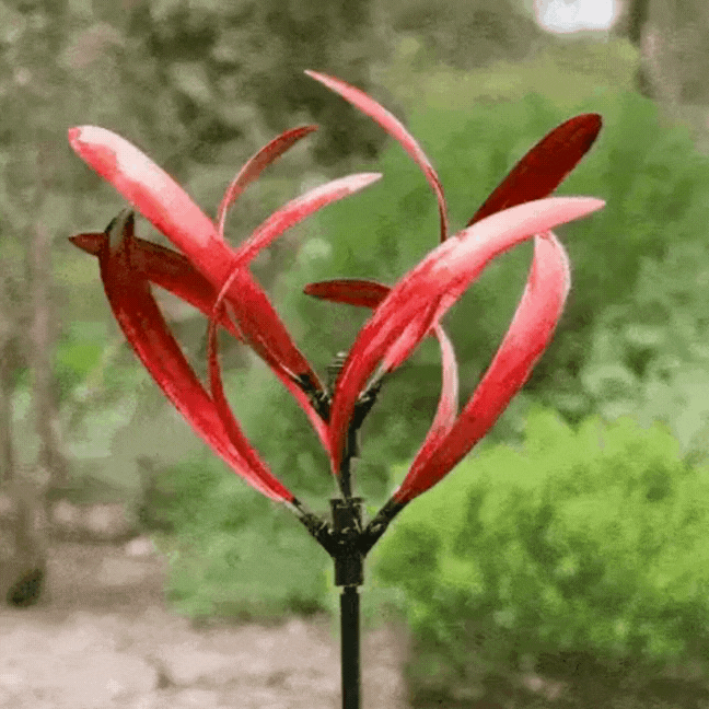Outdoor & Garden
