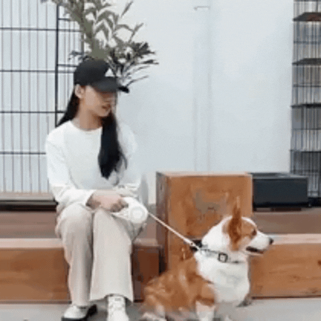 Pet Supplies