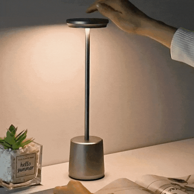 Lighting & Lamps