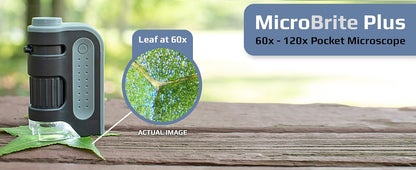 Royaleva Portable Handheld Pocket Microscope 60x-120x Magnification