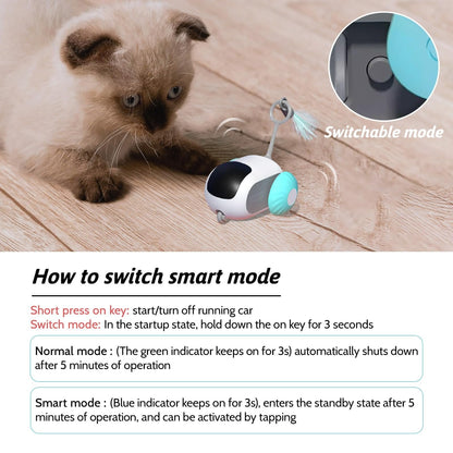 Royaleva Interactive Cat Toys with Remote Control Fun