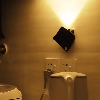 Stingray Motion Sensor LED Wall Light - Stylish Security Lighting - Battery / White light