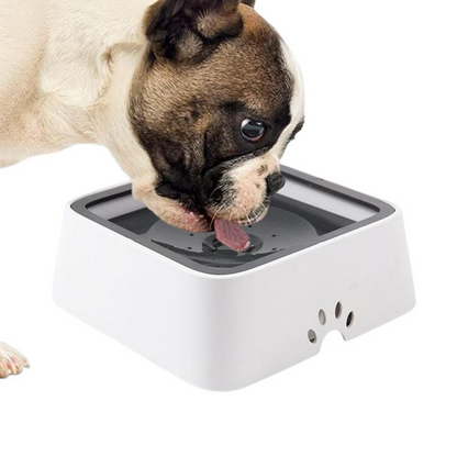 RoyaleGlow Large Capacity Anti-Overflow Dog Drinking Water Bowl