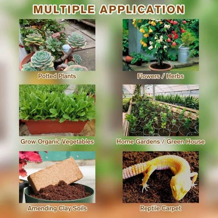 RoyaleGlow Coco Coir Bricks - Organic Growing Medium 6 Pack