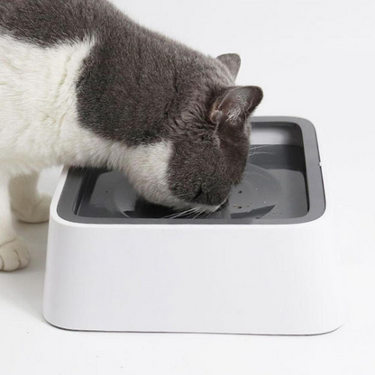 RoyaleGlow Large Capacity Anti-Overflow Dog Drinking Water Bowl