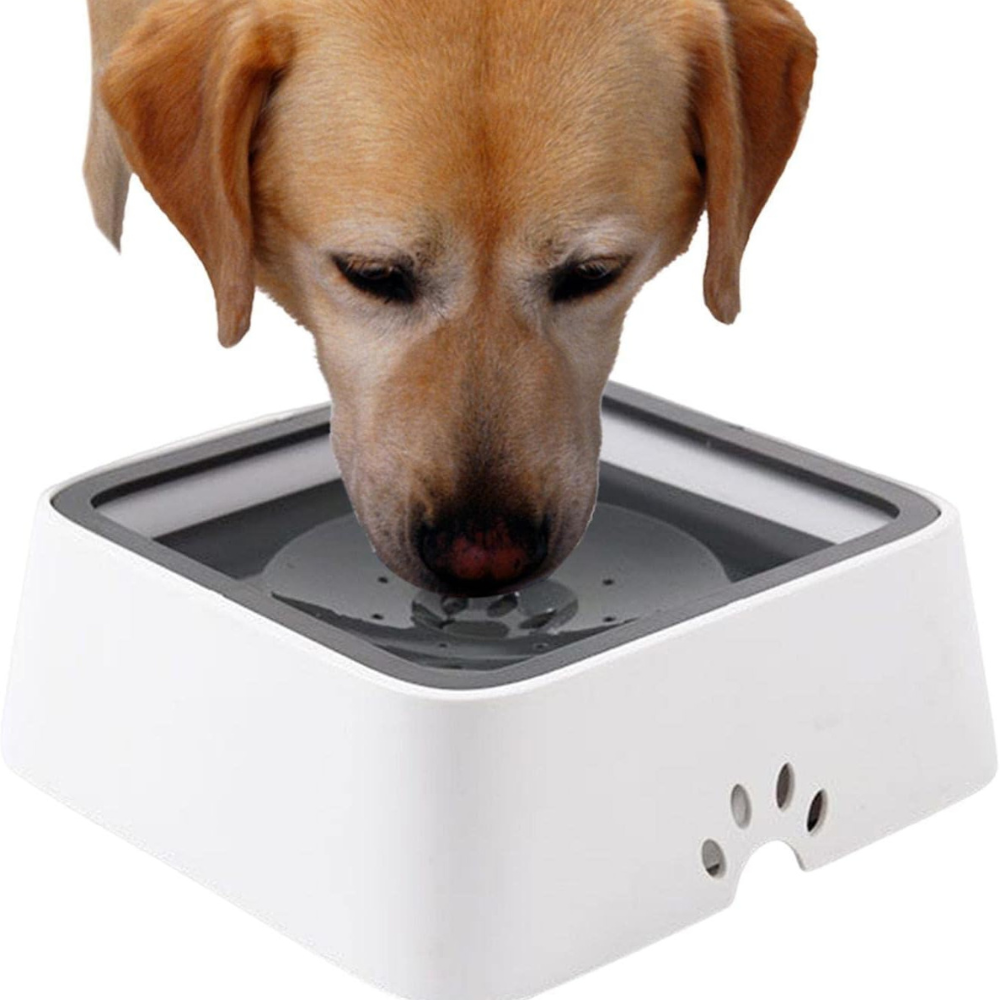 RoyaleGlow Large Capacity Anti-Overflow Dog Drinking Water Bowl