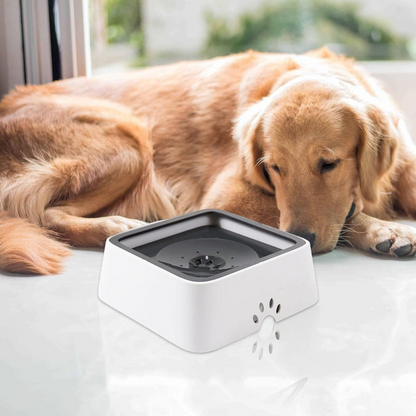 RoyaleGlow Large Capacity Anti-Overflow Dog Drinking Water Bowl