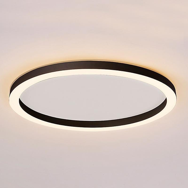16'' Modern Simple Circle Flush Mount LED Lights Dimmable Ceiling Lights with Remote 3