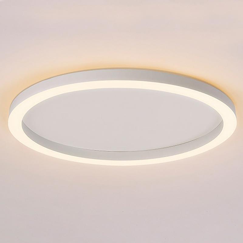 16'' Modern Simple Circle Flush Mount LED Lights Dimmable Ceiling Lights with Remote 4
