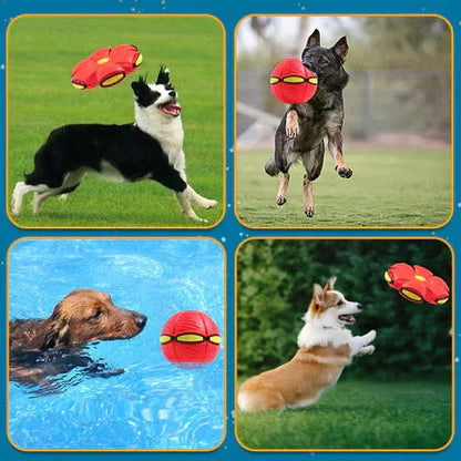 Pawelux Interactive Doggy Disc Ball - Safe, Bouncy Fetch Toy for Dogs