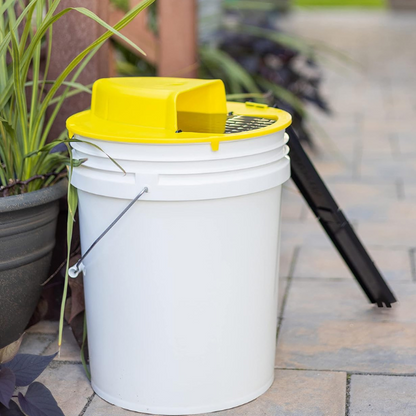 RoyaleGlow Reusable Humane Auto Reset Bucket Cover Mouse Trap