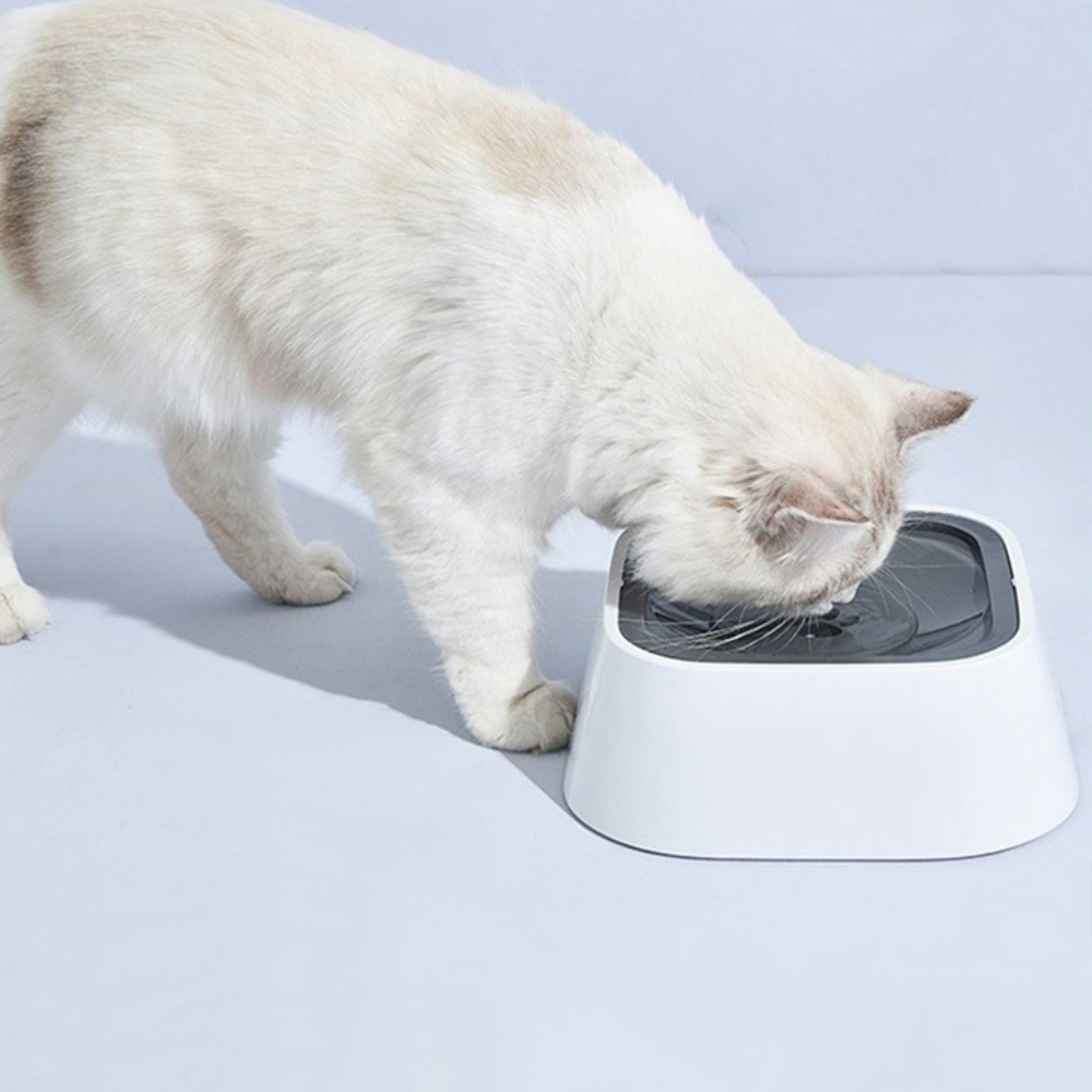 RoyaleGlow Large Capacity Anti-Overflow Dog Drinking Water Bowl