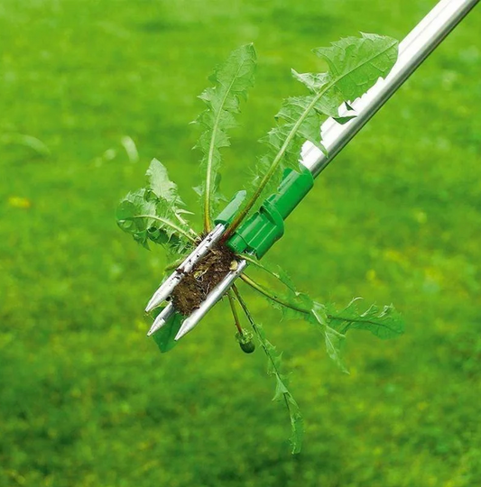 Royaleva Long Handle Standing Weed Puller for Easy Weeding