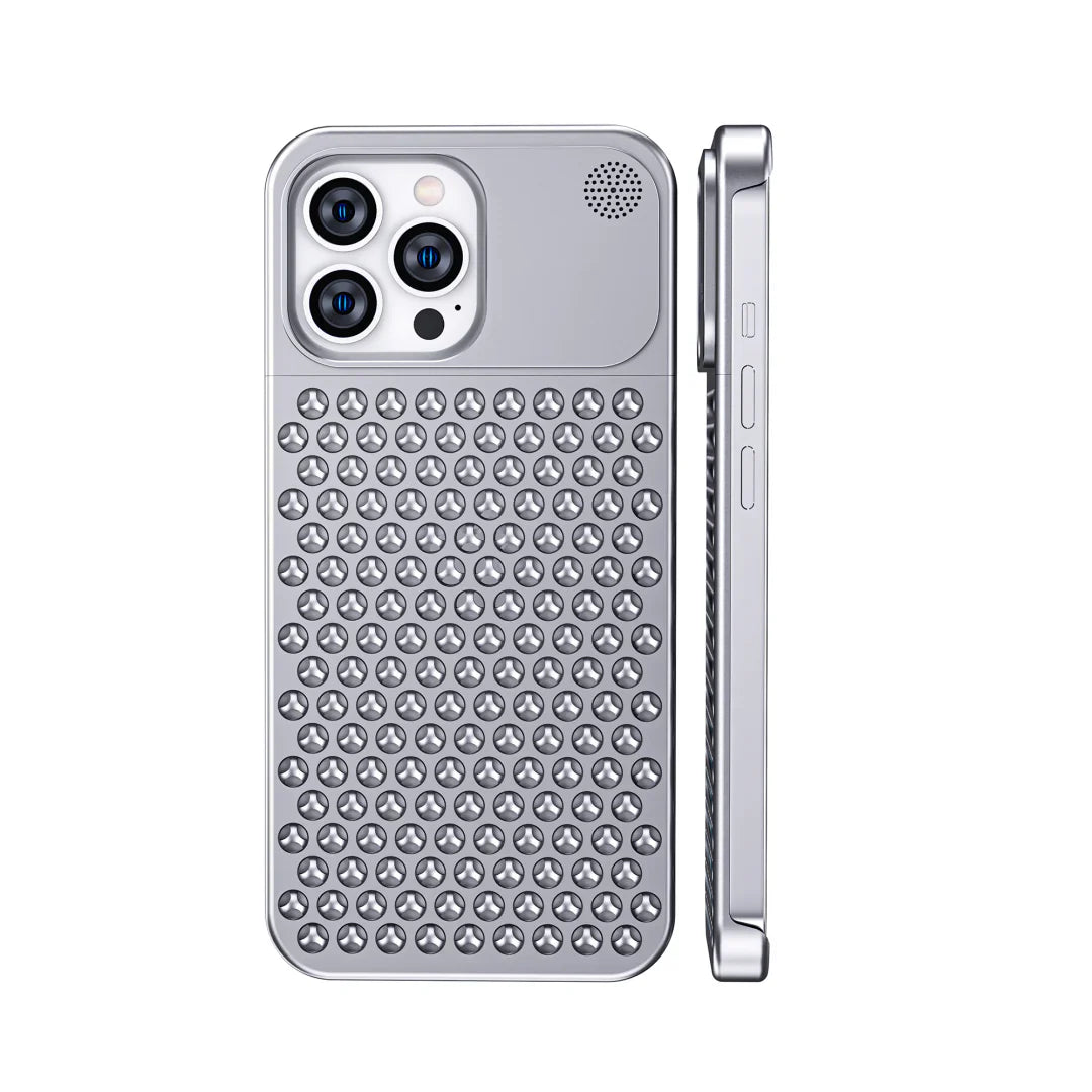 RoyaleGlow Aromatherapy Aluminum Alloy Case for Essential Oils