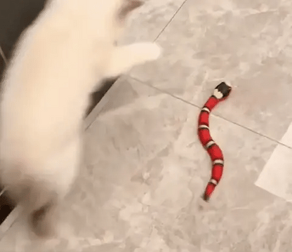 LuxRoyale Smart Sensor Interactive Snake Toy For Cats