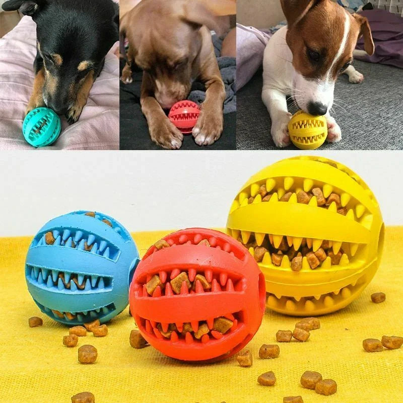 Royaleva Interactive Rubber Ball for Dogs and Cats