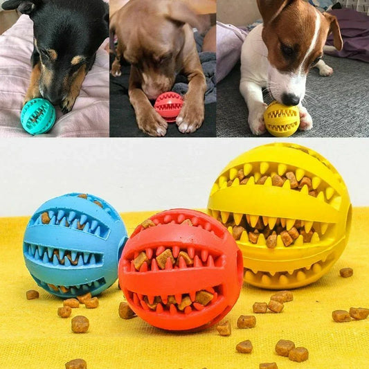 Royaleva Interactive Rubber Ball for Dogs and Cats