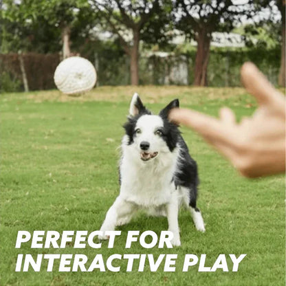 Pawelux Indestructible Chew Ball – Ultimate Dog Toy for Aggressive Chewers & Dental Health