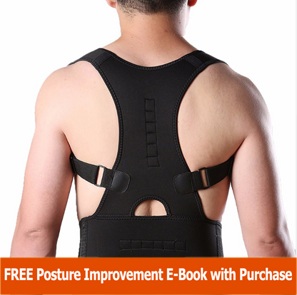 Royaleva Complete Back Care Brace for Posture Support