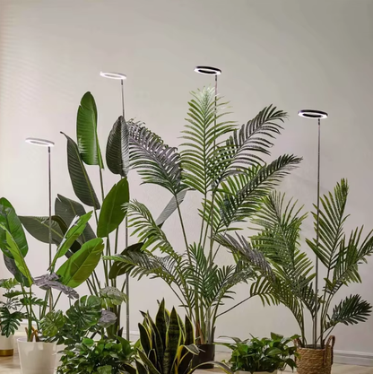 RoyaleGlow Grow Light For Indoor Plants Adjustable & Energy Efficient