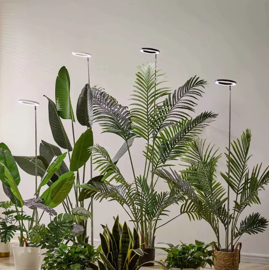 RoyaleGlow Grow Light For Indoor Plants Adjustable & Energy Efficient