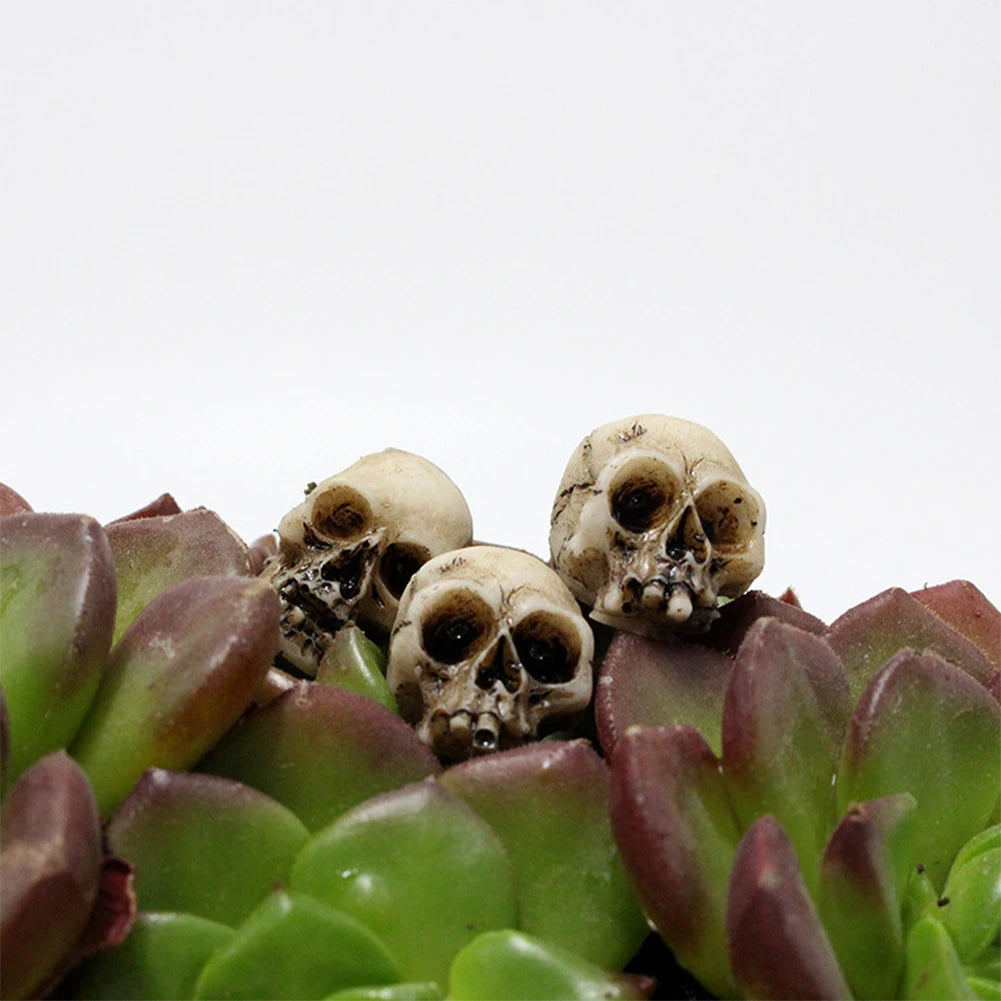 20Pcs Mini Skull Heads Collectable Halloween Gothic Skull Sculptures Creative Festival Theme Landscape Garden Potted Plant Decor 4