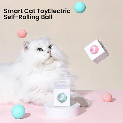 RoyaleGlow 2 in 1 Simulated Interactive Hunting Cat Toy