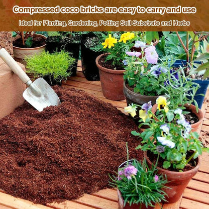 RoyaleGlow Coco Coir Bricks - Organic Growing Medium 6 Pack