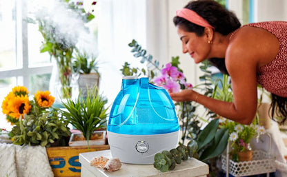 RoyaleGlow Cool Mist Humidifier with 2.2L Tank Capacity