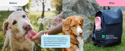 Royaleva 19 Oz Portable Water Bottle For Dogs Travel Use