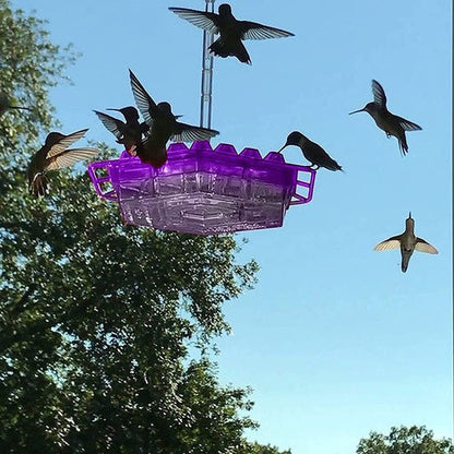 RoyaleGlow Ant Proof Hummingbird Feeder Outdoor Hanging Perch