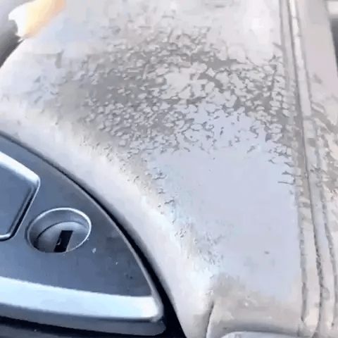 Royaleva Advanced Leather Repair Gel - Fix Leather Seats, Shoes, Bags, Sofa, Furniture