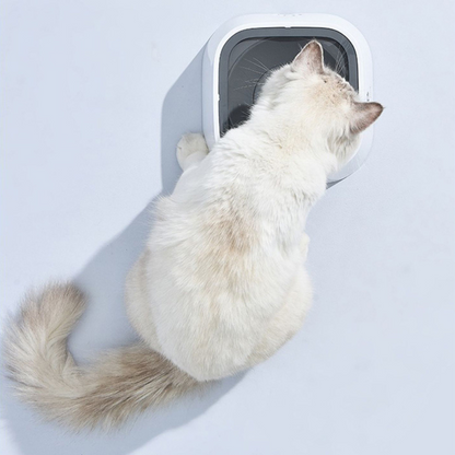 RoyaleGlow Large Capacity Anti-Overflow Dog Drinking Water Bowl