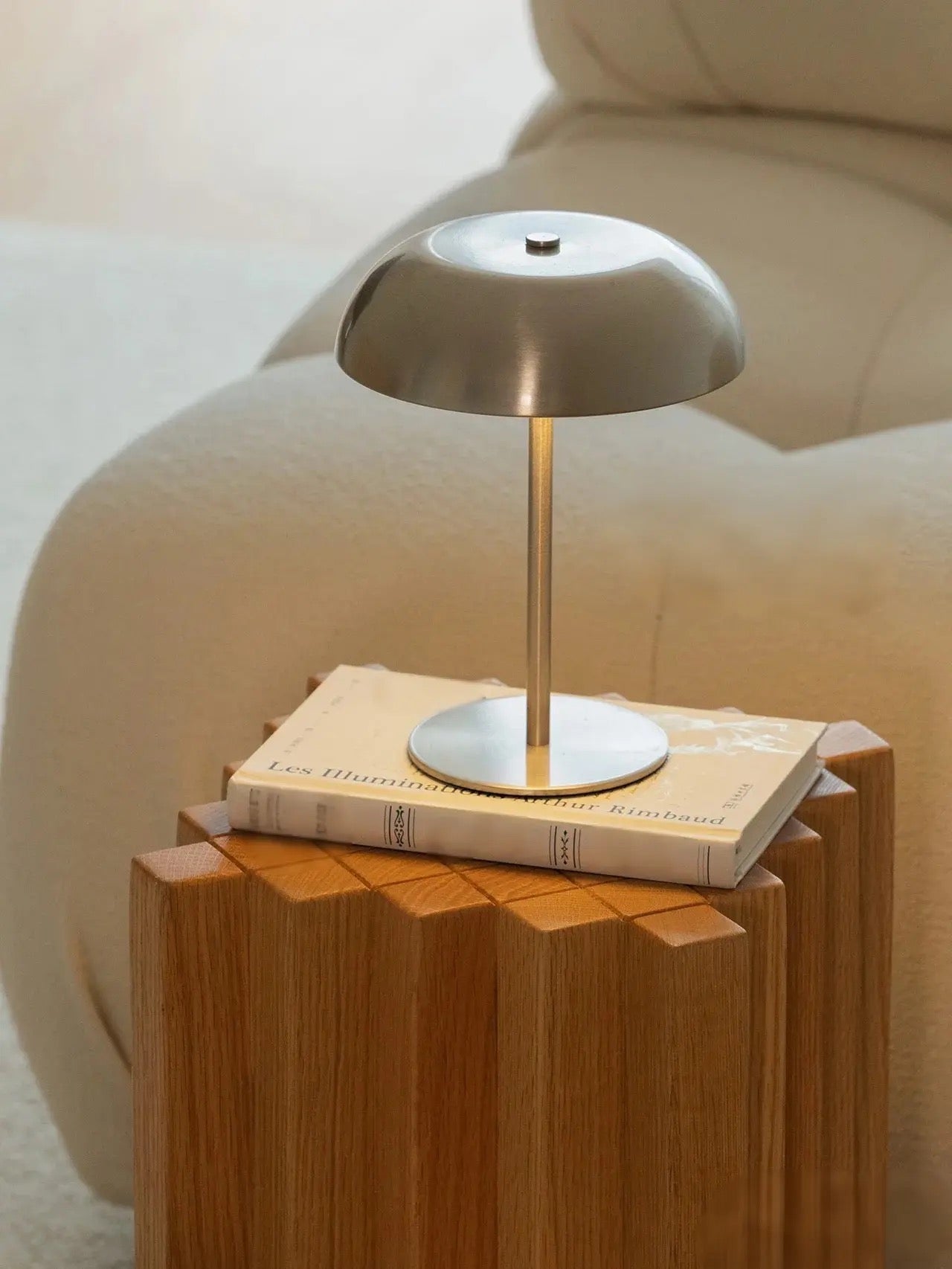 Royaleva Contemporary Brushed Steel Crescent Mushroom Table Lamp with Integrated LED