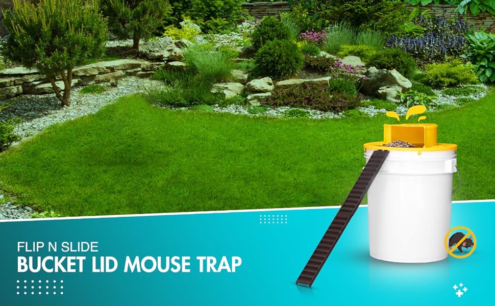 Royaleva 4-Pack Bucket Lid Mouse Trap for Easy Pest Control