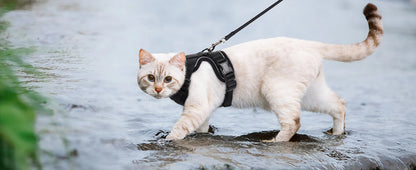Luxora Escape Proof Cat Harness with Leash for Safe Adventures